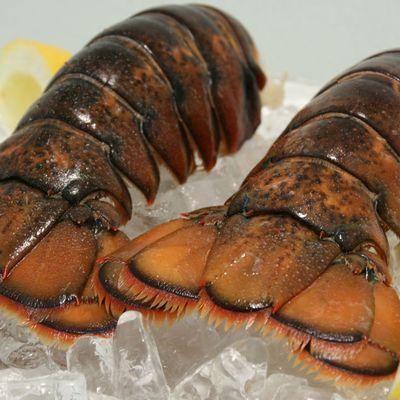 Lobster tails - fresh or steamed !