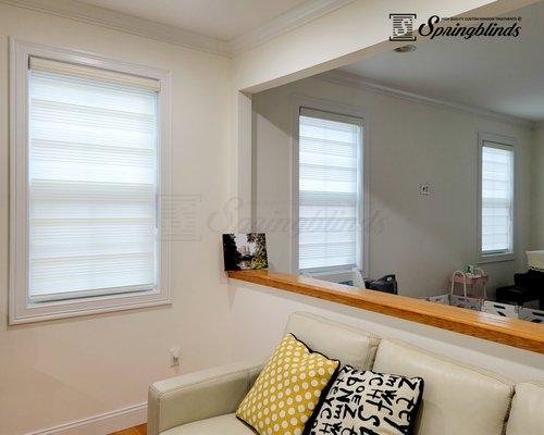 Zebra Premium Pleated Light Filtering Sheer Shades in Living Room - Ivory