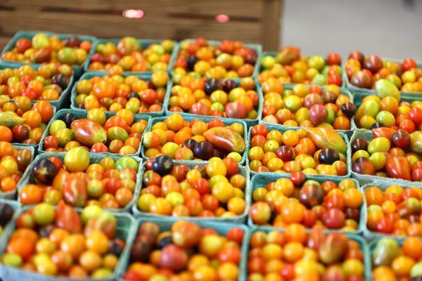 Cartons of tomatoes