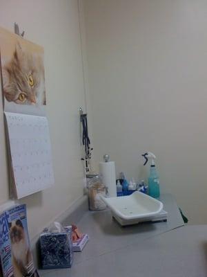 Exam room is nice & clean.