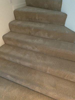 STAIRS, HALLWAY AND LIVING ROOM. Not pictured is my bedroom. But they did that too.