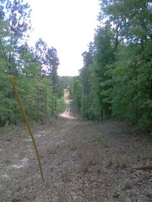 Aiken Tree Service