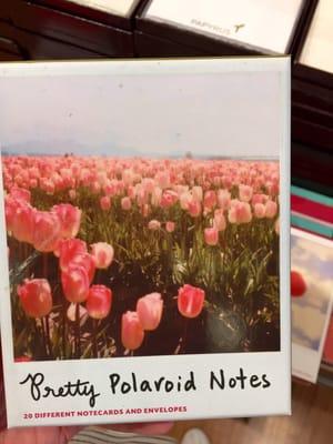 Polaroid Notes