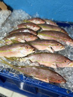 Retail Market / Fresh seafood