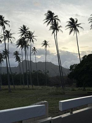 View from the patio