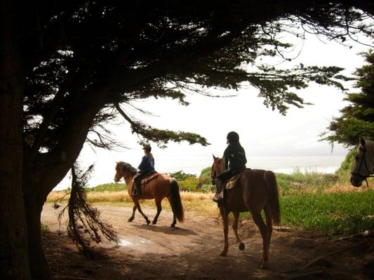 Monterey Bay Horsemanship & Therapeutic Center