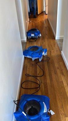 24/7 Water Damage Restoration