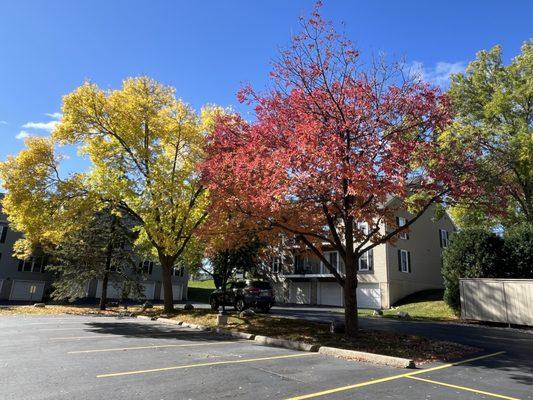 Fall Vibes in our freshly sealcoated parking lot!