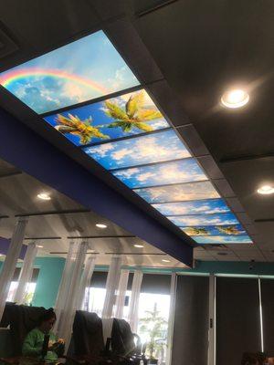 Ceilings with cool images