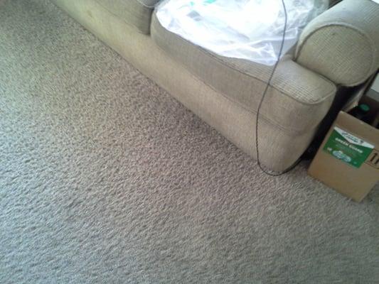 This a Low Moisture Clean Look at the fibres how clean they are.
This carpet dry in one hour.