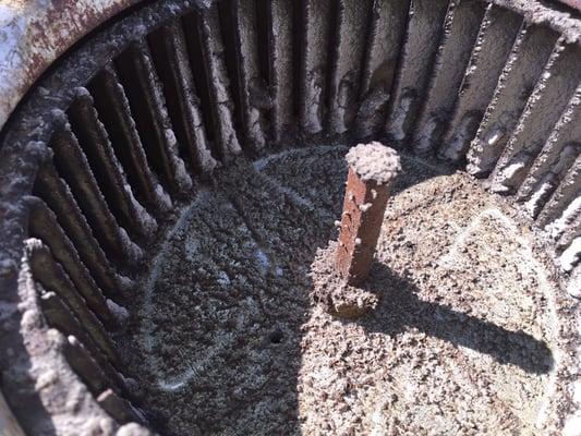 Mold on an air handler fan