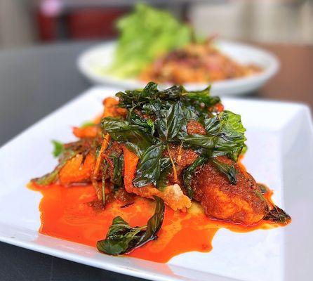 Spicy Tilapia w/ thai chili sauce, finger root, kaffir lime leaf, red bell peppers, crispy basil | $21.95