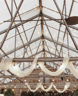 Beautiful glass roof inside our Glasshouse.