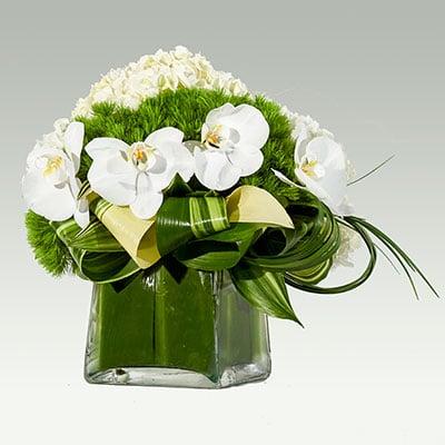 Simplicity of greens and white florals --- professionally and securely delivered throughout Miami Dade