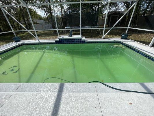 Chemical imbalanced green pool.