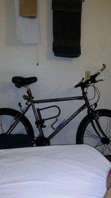 Can i put a two stroke motorized moter on this 19.5 motiv 21 speed mountain bike?