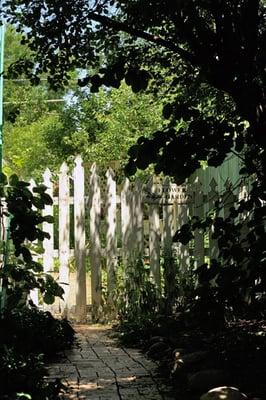 shady path to the back garden. Very serene.