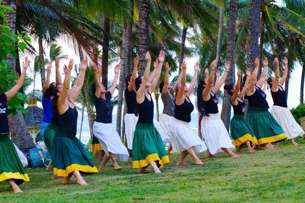 Dancing among the palm trees in Kaua'i