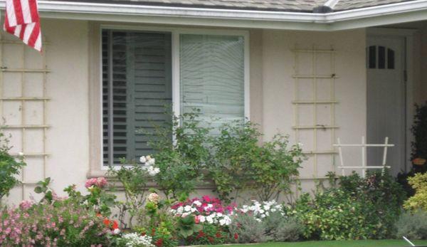 Before Anlin window replacement and Alside Vinyl Siding