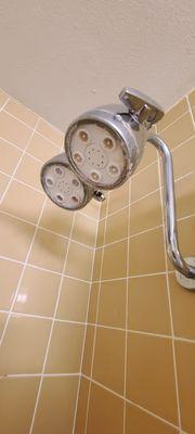 Dirty shower heads