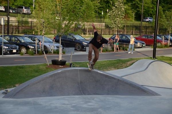 Andy A DOG Williams Skatepark