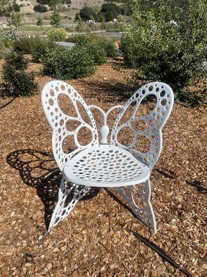 Butterfly chairs everywhere