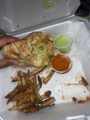 Chicken Burrito and Fries