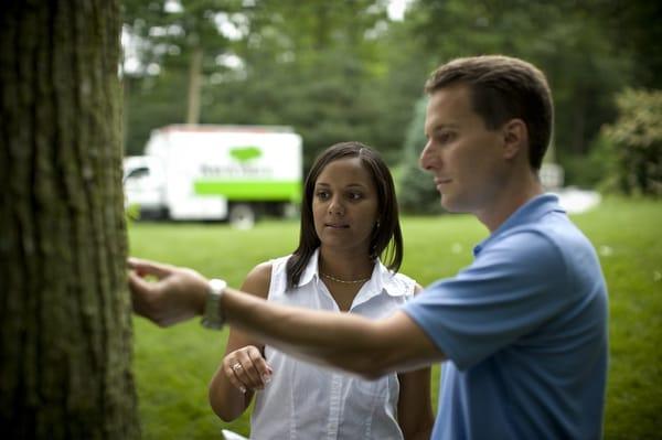 Tree Services