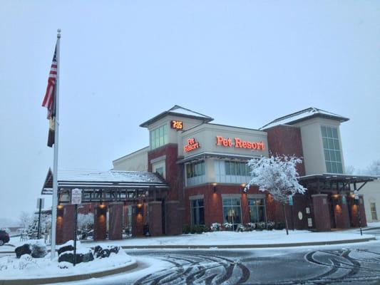 Snowy day at Olde Towne Pet Resort