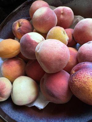 Peaches picked