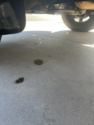 Brake fluid leaking all I've my driveway