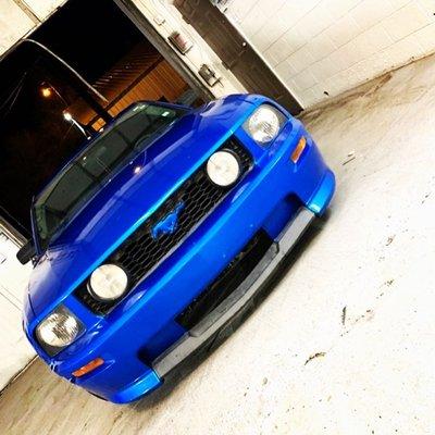 Mustang GT bomb blue Vinyl Wrap