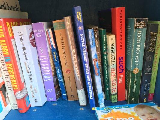 Little Free Library July 2019@ Lake Shore Park