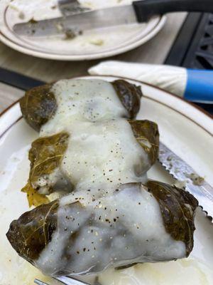 Grape leaves filled with meat