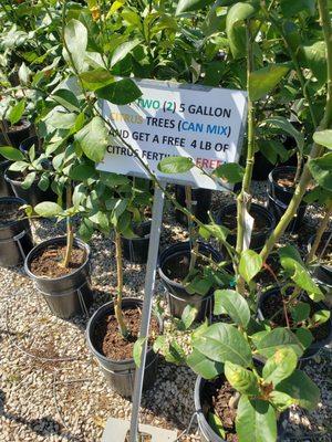 Buy 2 five gallon citrus trees, and you get a free fertilizer