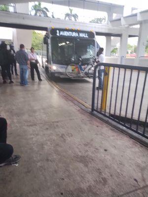 The transit employee in the pink shirt decided to spray cheap perfume all over in the front of the closed bus, causing me pain from asthma.