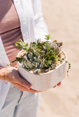 Our floral team creates custom succulent arrangements for pickup or local delivery in SB.