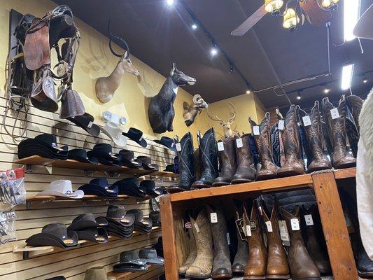 Lots of choices here at Howell Western Wear