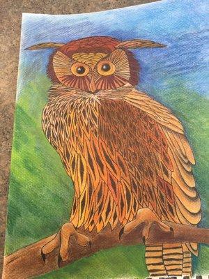 Owl Pastel Painting