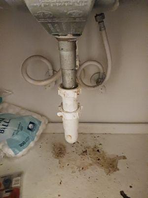 Water damage. Pipes leaking.