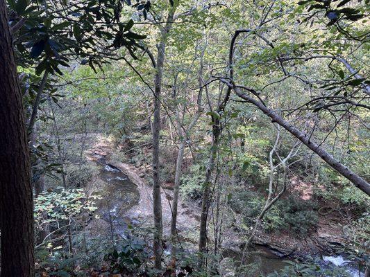 Creeks and trees