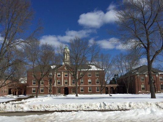 University of Maine-Orono