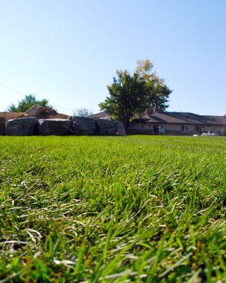 Another great sod installation in Parker, Colorado