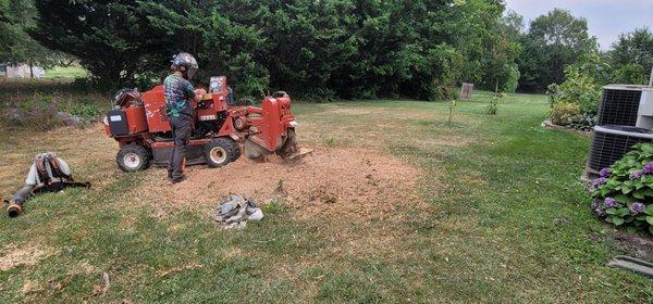 Removing leftover stump