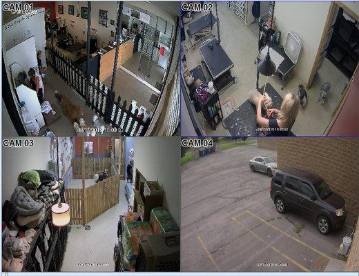 Dixon Security Cameras