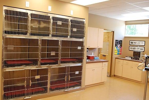 Holly Springs Veterinary Hospital