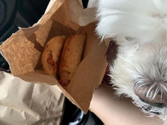 Ham and cheese croissants... and my handsome little woofer next to me.