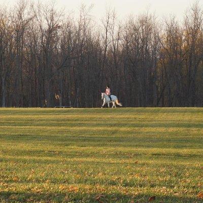 Enjoying the open fields!