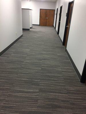 Office Carpet Clean/ Vacuum