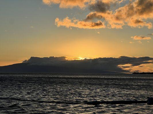 Whale sighting and sunset